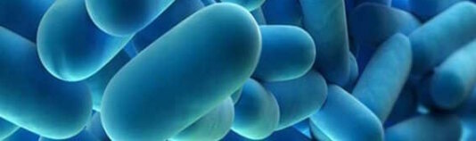 Legionella Il batterio della legionella